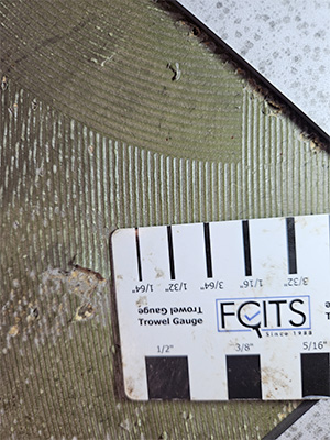 About Selfridge Inspection Service